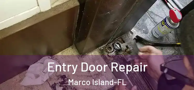  Entry Door Repair Marco Island-FL