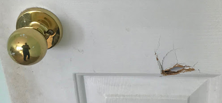 interior door hole repair Marco Island