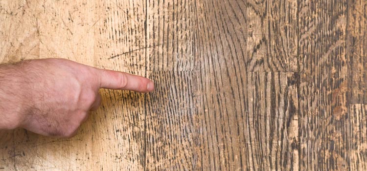 Wood Door Scratch Repair in Marco Island